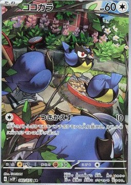 Rookidee [Snow Hazard] (SV2P-082)